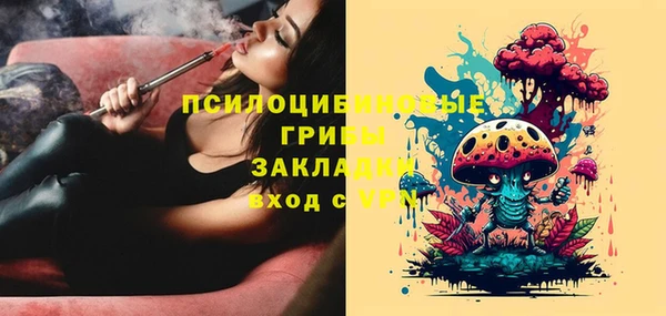 спайс Баксан