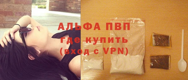 Альфа ПВП Белокуриха