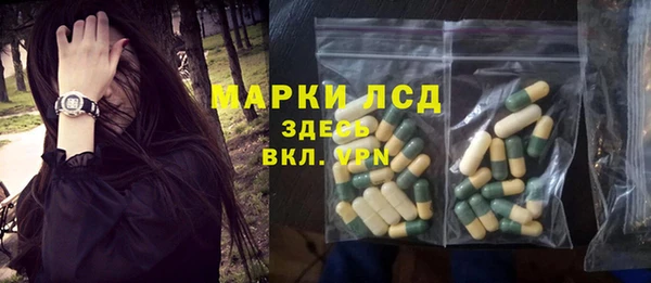 спайс Баксан