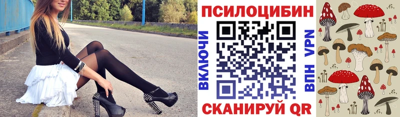купить наркотики сайты Карпинск Псилоцибиновые грибы GOLDEN TEACHER
